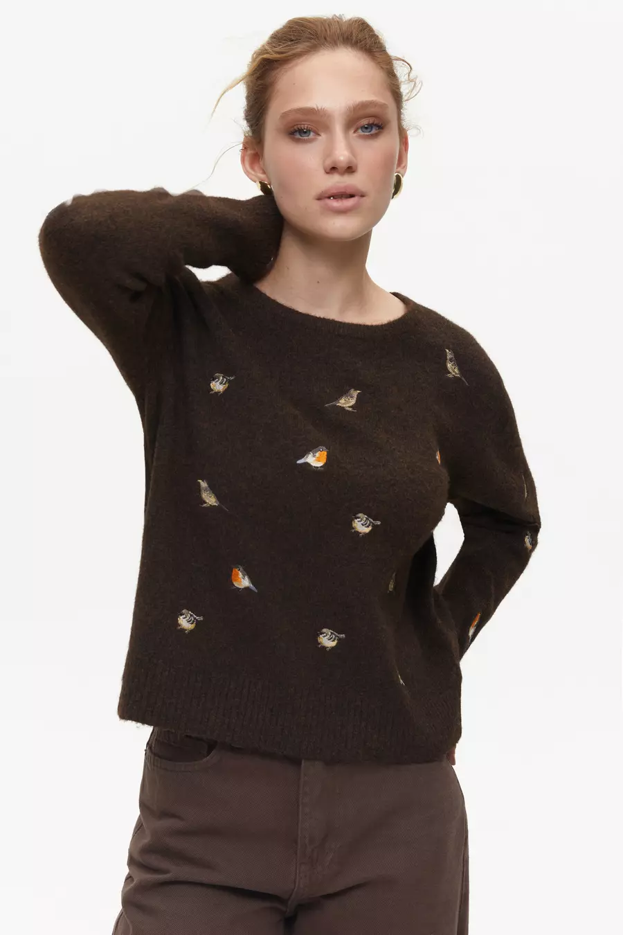 Brown Sweater with Embroidered Birds